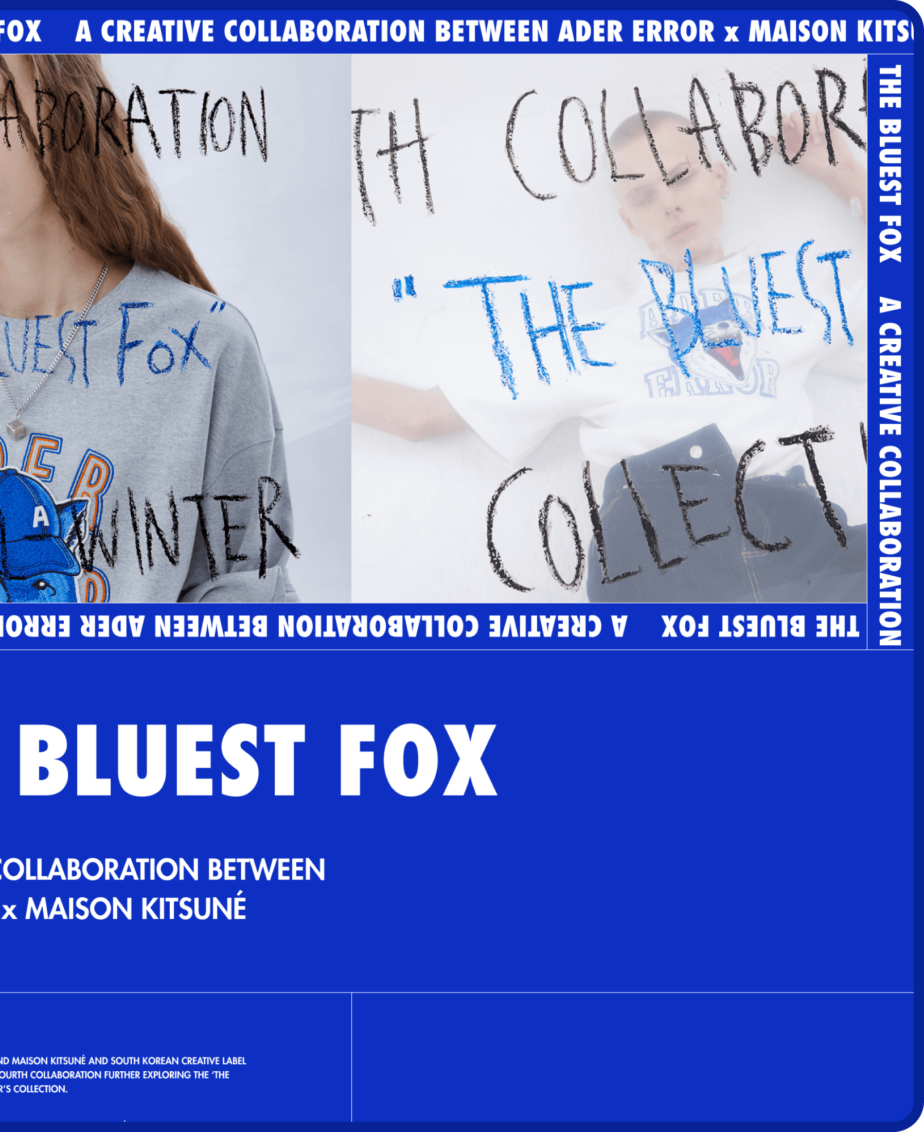 Introduction of the landing page The bluest fox